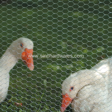 Cheap Chicken Wire Fencing